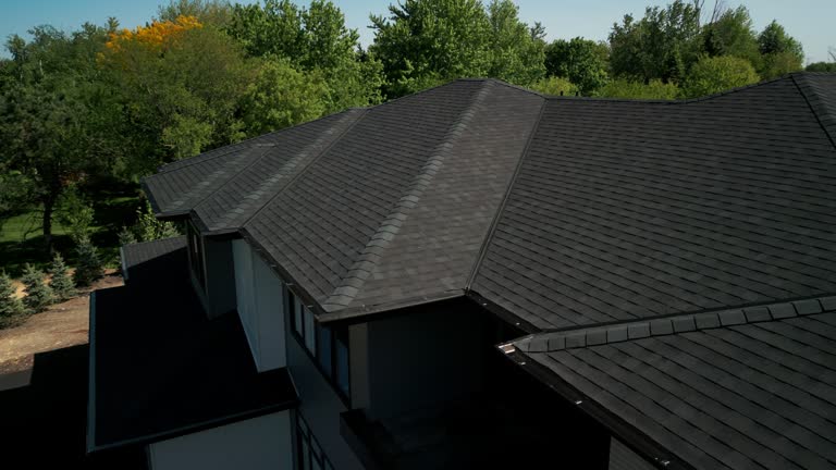 Best Asphalt Shingles Roofing  in Detroit, MI