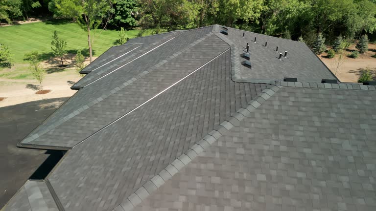 Best Sheet Metal Roofing  in Detroit, MI