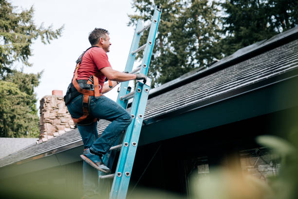 Best Emergency Roof Repair Services  in Detroit, MI