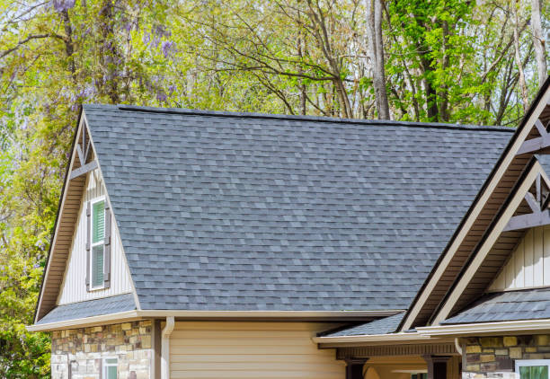 Best Rubber Roofing (EPDM, TPO)  in Detroit, MI