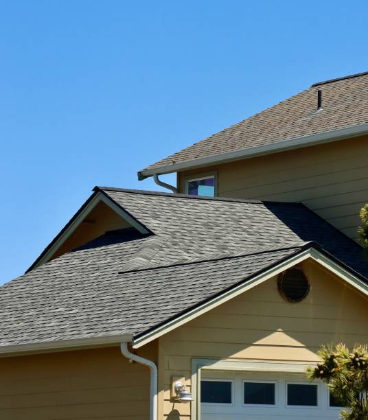 Best Roof Maintenance and Cleaning  in Detroit, MI